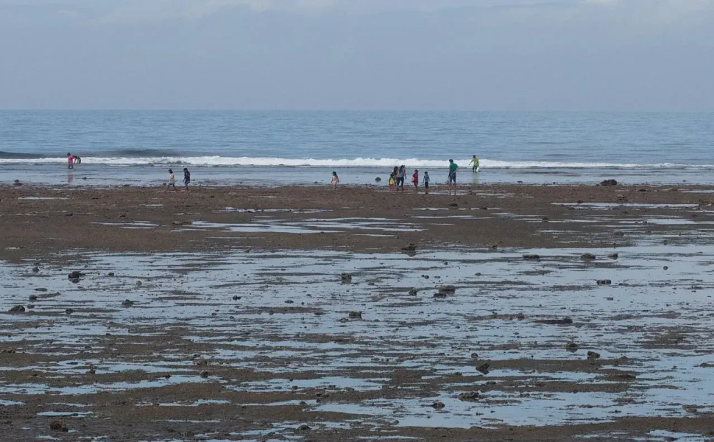The Reef 077