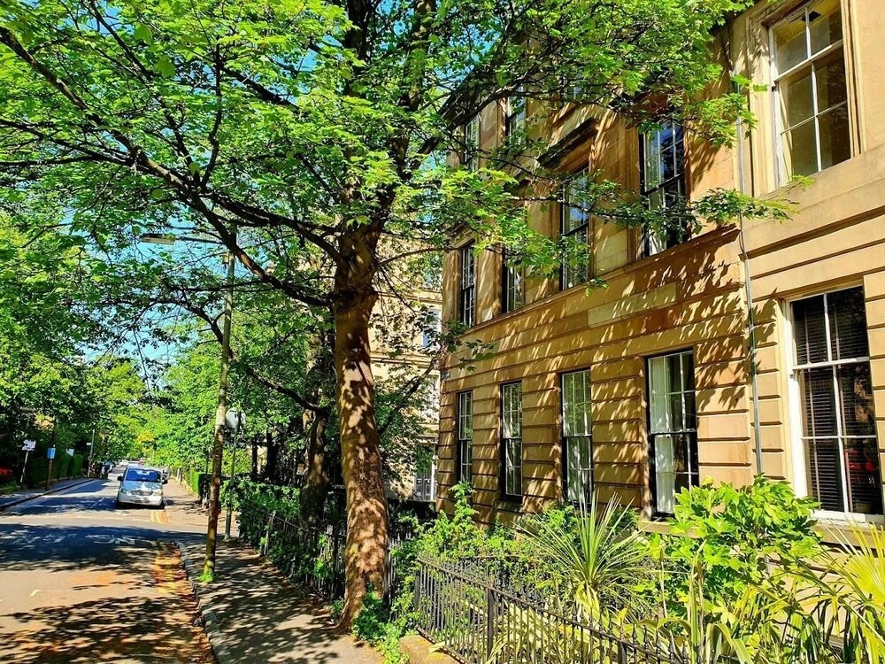 Unwind in a Bright Airy Victorian Apartment in West End!