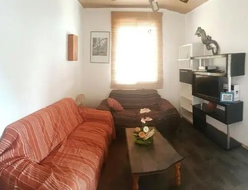 Kaz dÔ