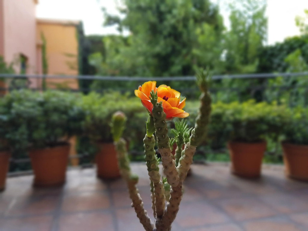 Legado Mitico Salta Hotel Boutique