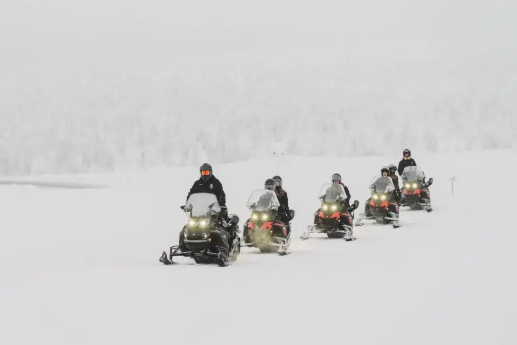 Wilderness Hotel Muotka & Igloos
