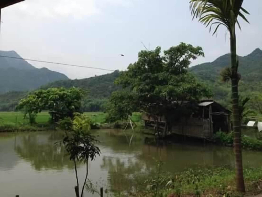 Hung Mech Homestay