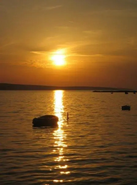 Bartulovi dvori