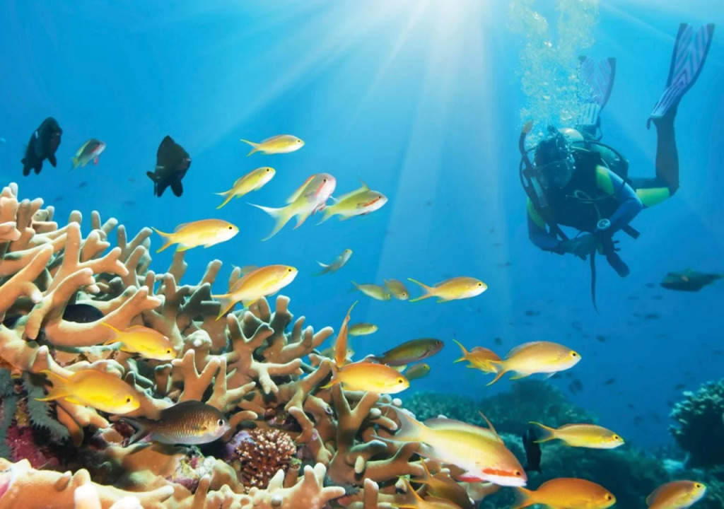 Pestana Bazaruto Lodge ALL INCLUSIVE
