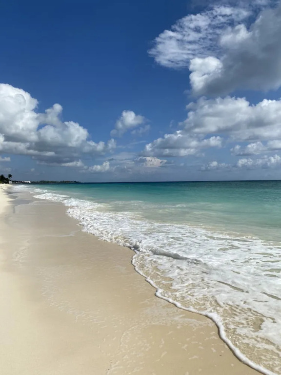 The Lookout - Coral Beach