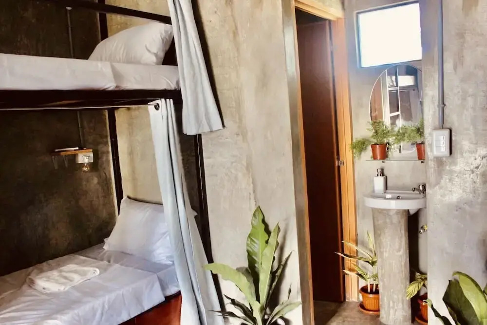 Hangover Hostel