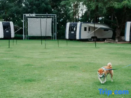 Zhonglv Anaya Jiulong Lake · A.CAMP RV Campground