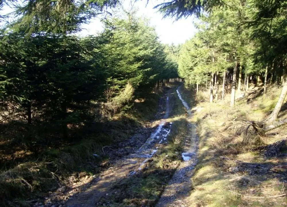 Holiday Home Le Fournil in Manhay With Garden