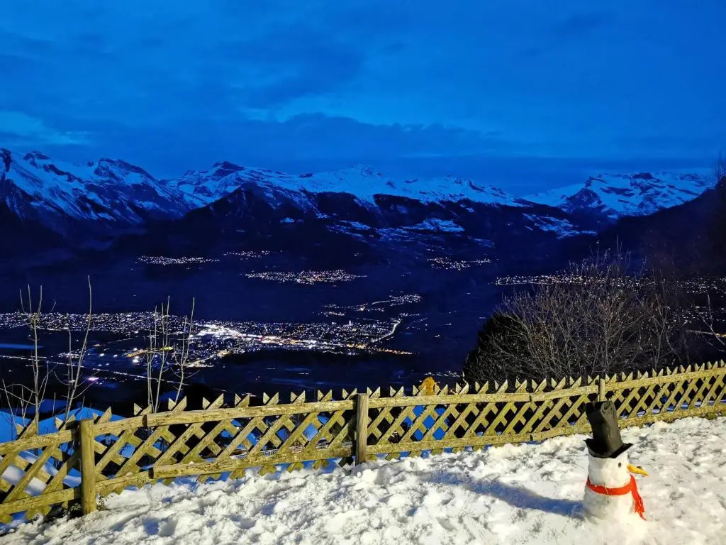 Best Value, View and Location - 4 Bedrooms, 2 Bathrooms, Big Corner GARDEN with WIDE VIEW on the Mountains and the Amazing Rhone Valley!