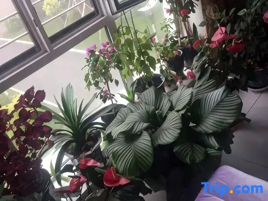 Yuelai Homestay