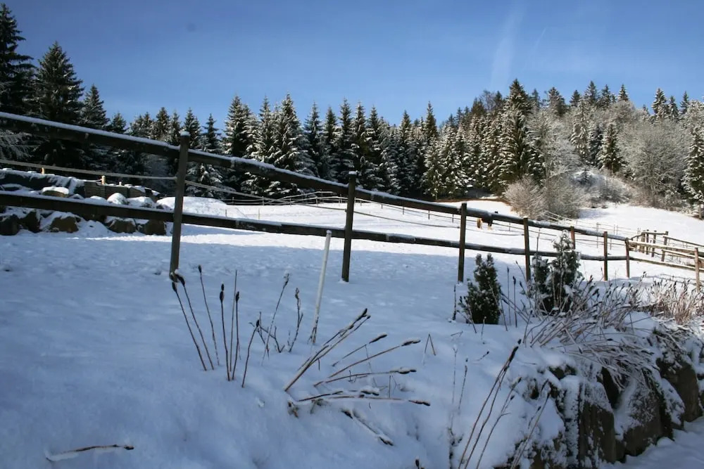 Malerische Erdgeschosswohnung