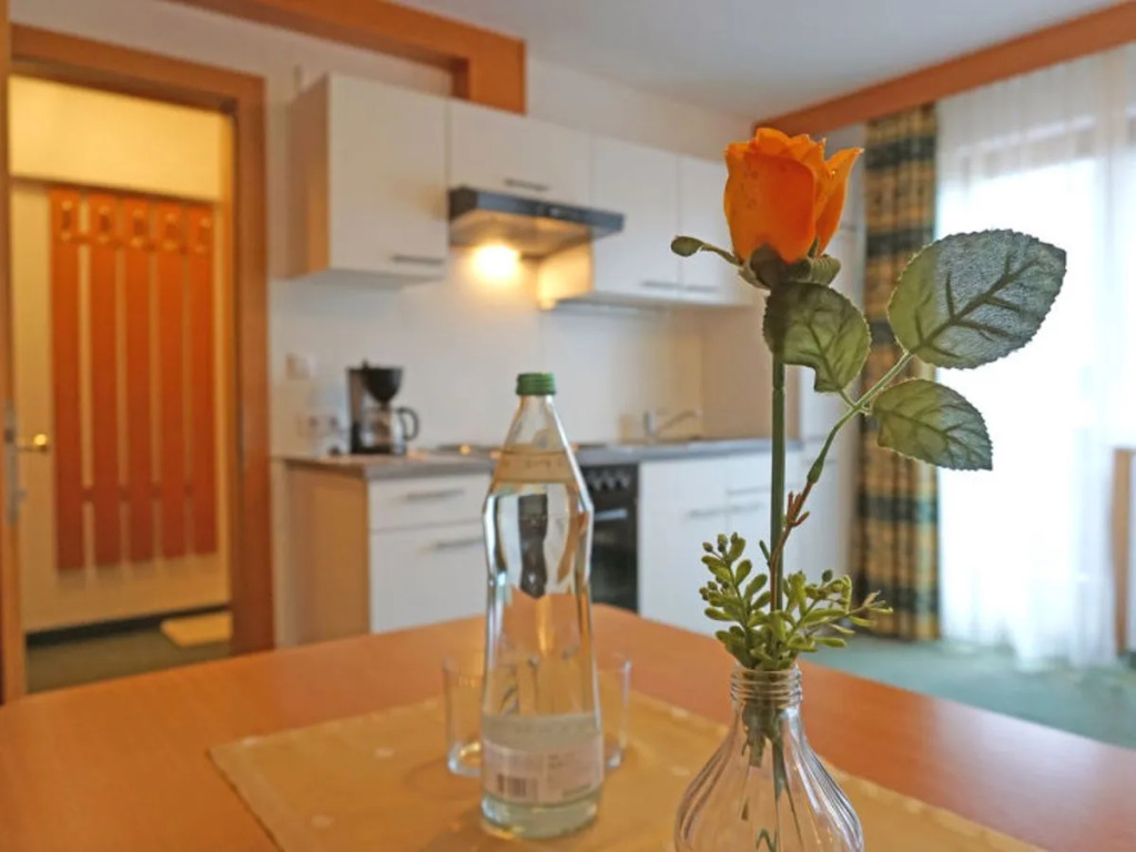 Apartment Falkner Längenfeld 29451