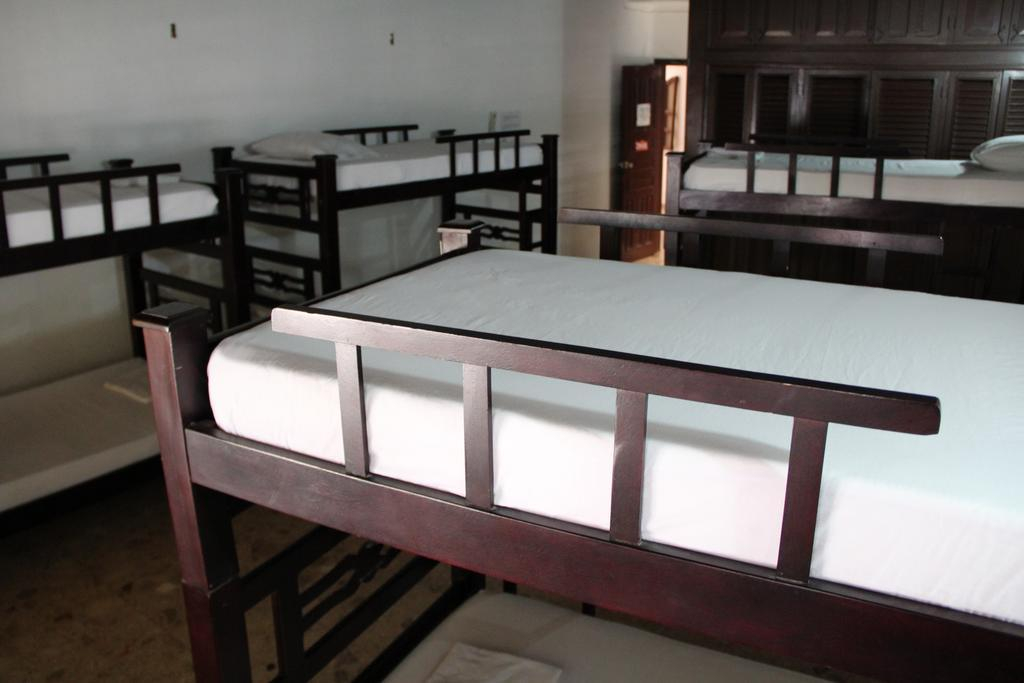 Drop Bear Hostel