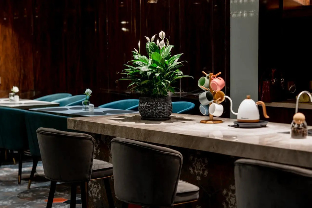 Tomeet Hotel