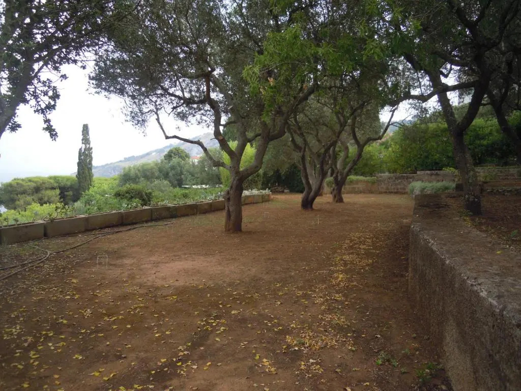 Appartamento in Villa fortunata terra