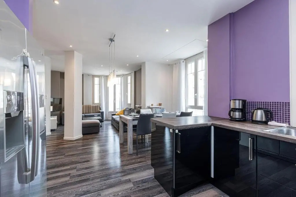Large 2 Bdrs apartment Down Town - AC