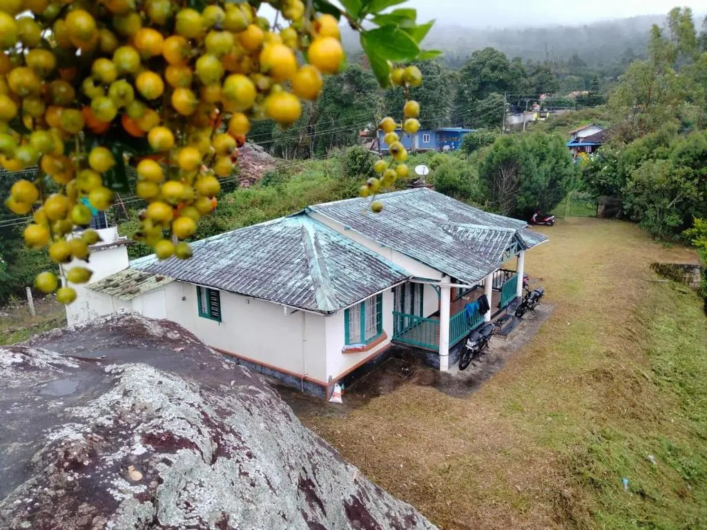 Green House Rock Home Stay