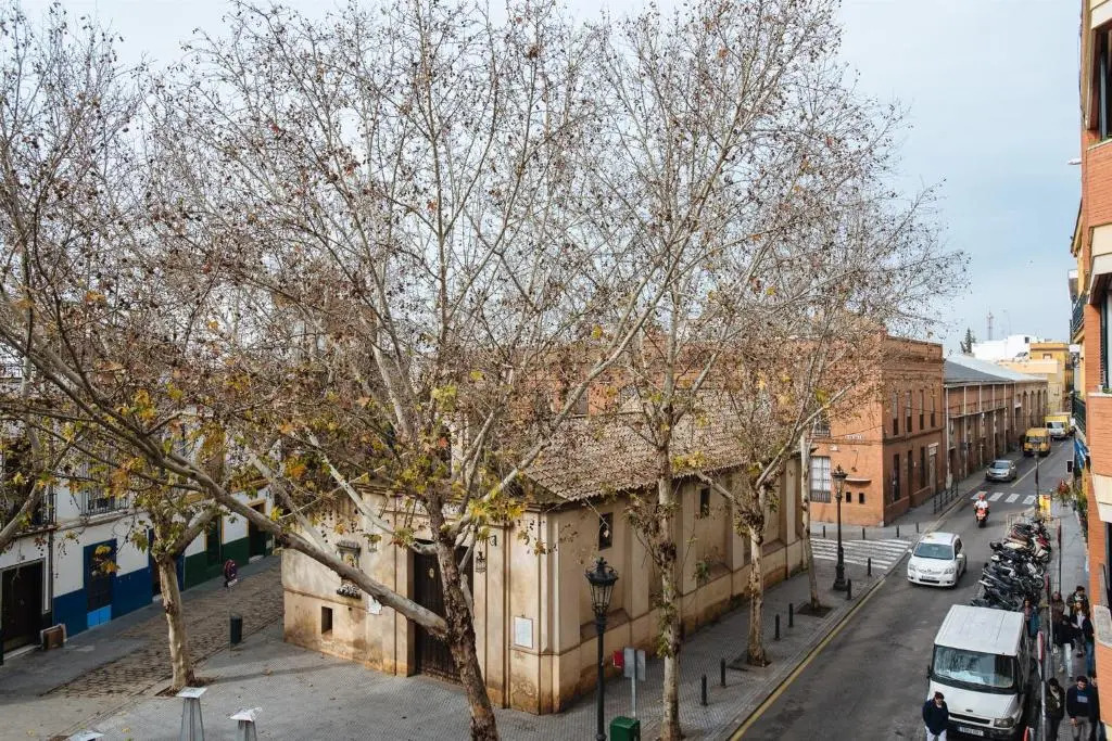 Bright and Familiar Apartment in Alameda
