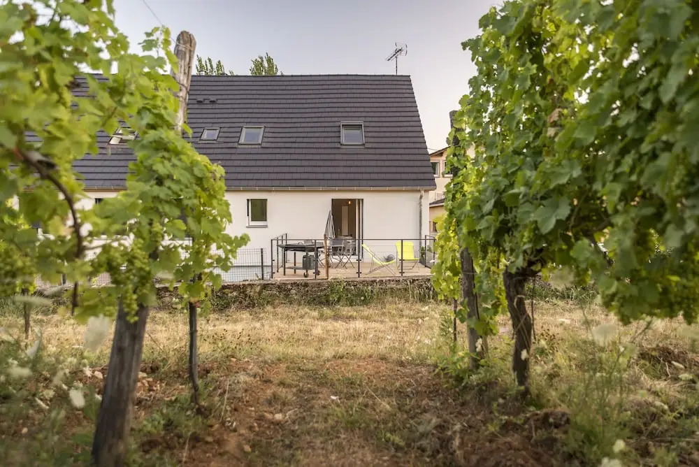 Aux pieds des vignes - Studio - 4 pers