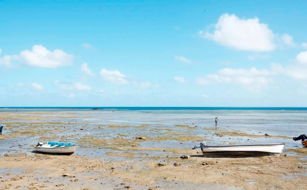 Cocotiers Hotel - Rodrigues