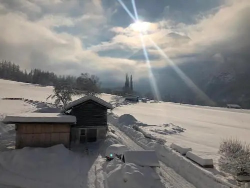 Alps 3000-2
