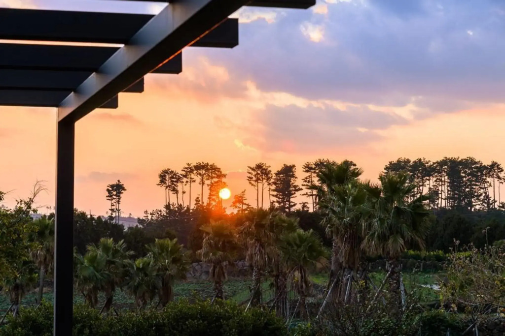 Jeju Patio Aewol