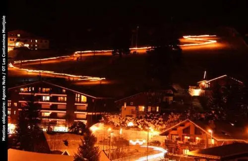 Chalet 10 Pers. Avec Terrasse Plein Sud 71352