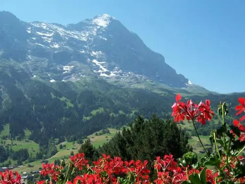 Apartment Jungfrau Lodge
