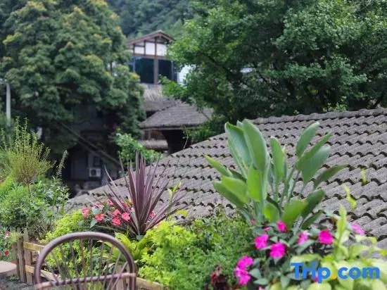 Wow. Wenxi Wawu Private Hot Spring Homestay