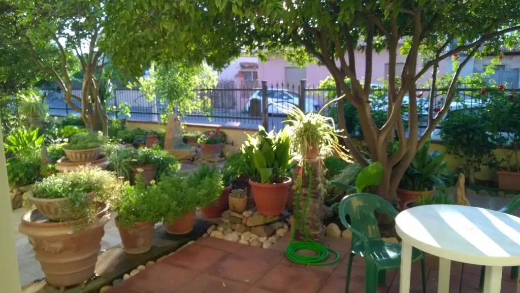 B&B Gli Agrumi