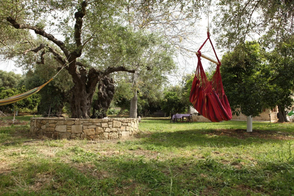 Cretan cottage of 1900 with beautiful olive yard