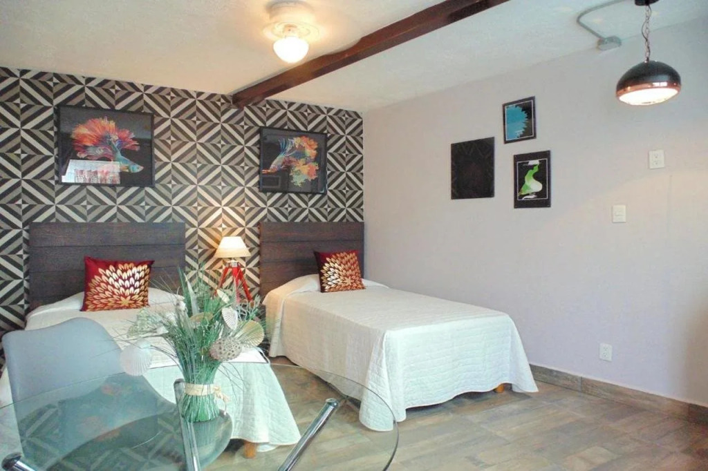 Coyotito Beds Coyoacan Confort y flexibilidad