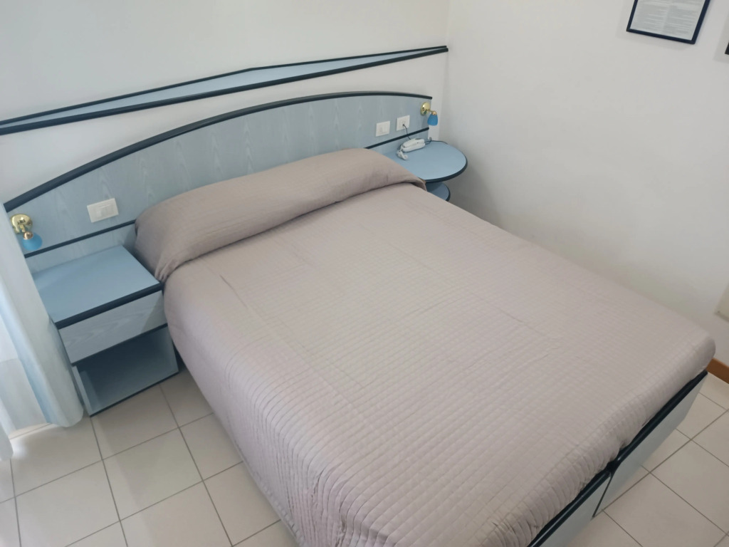 Hotel Remin Plaza