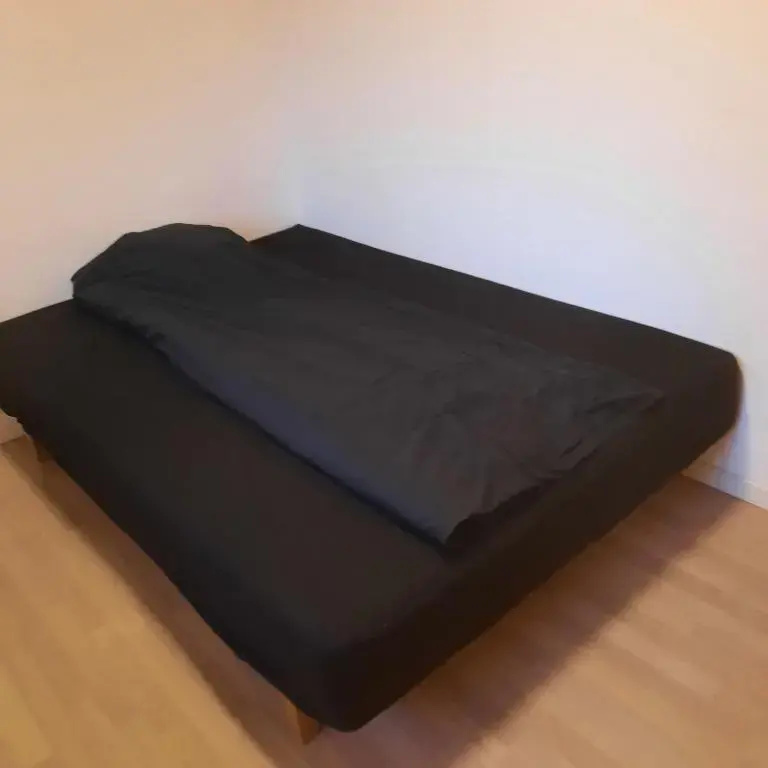 Agervej 45, Borris