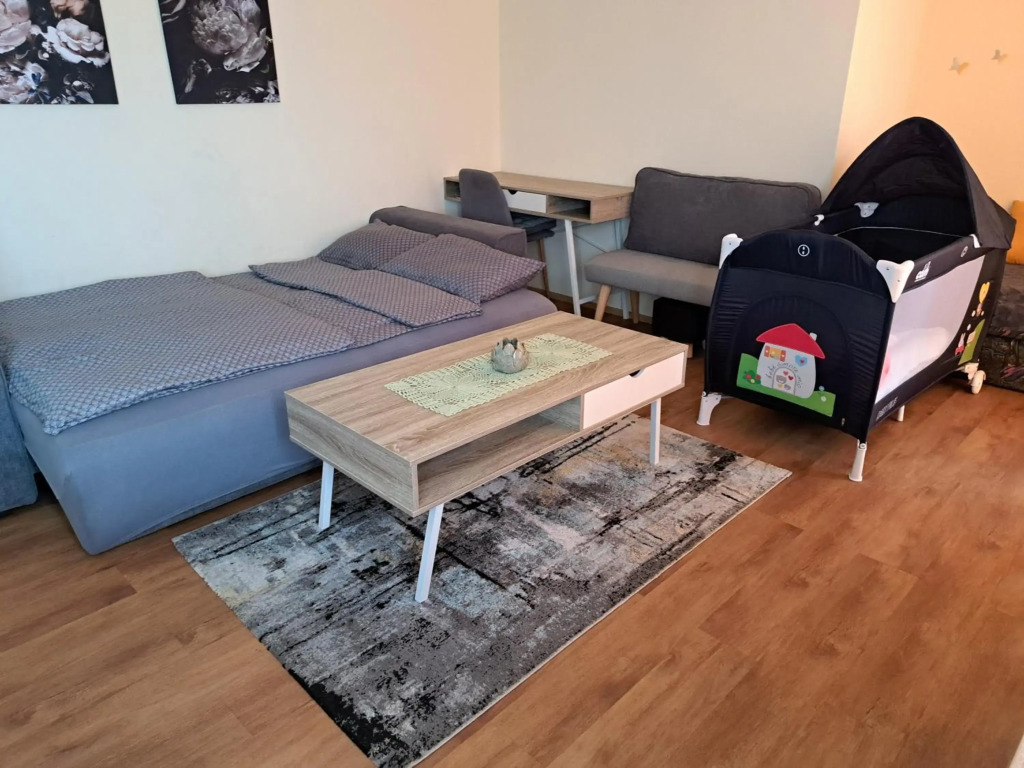 Apartma Moravske Toplice 16