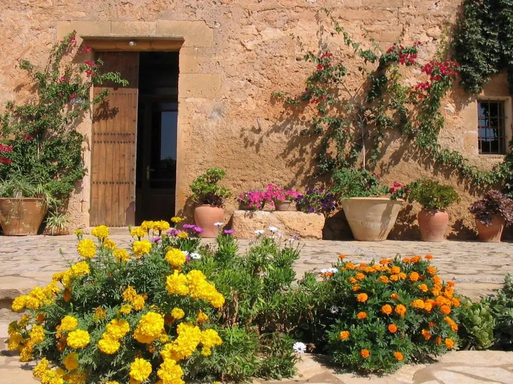 Finca Sa Cova Vella
