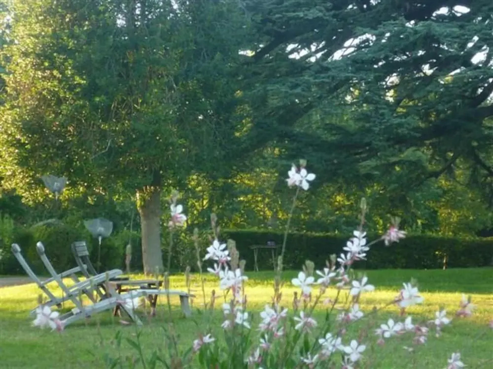 Bed and Breakfast - Château du Vau