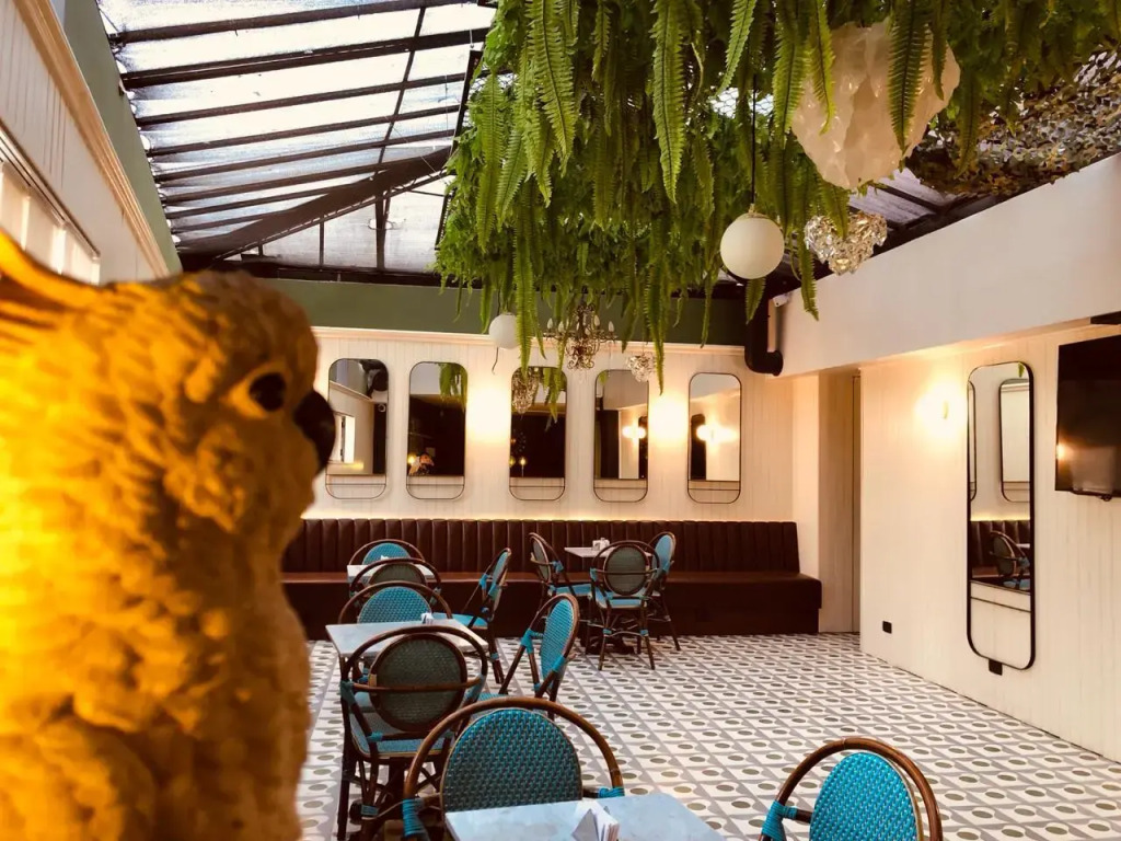 Viajero Bogotá Hostel & Spa