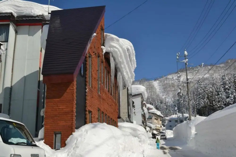 Nozawa-SF