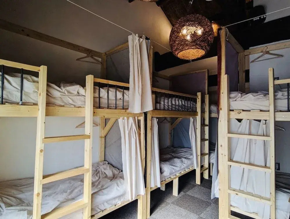 Mad Cat Hostel Osaka & Bar