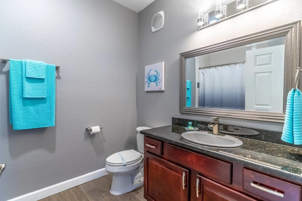 1301 Flamingo Cove at Tuscana