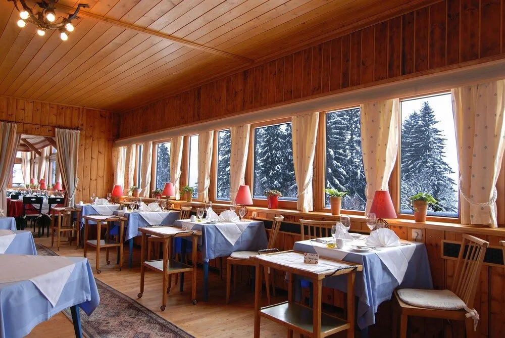 Alpenhotel Gösing