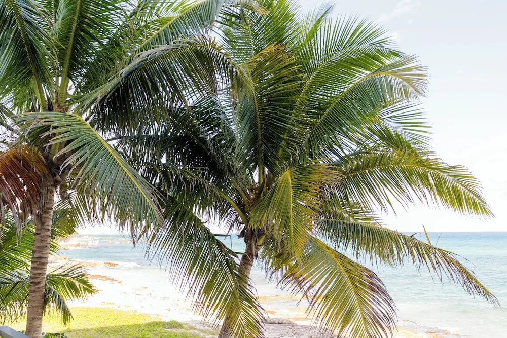 Angelina 28 Beachfront and Family Apartments - Modern and Relaxing Long Stays (20 min from Cancun Airport)