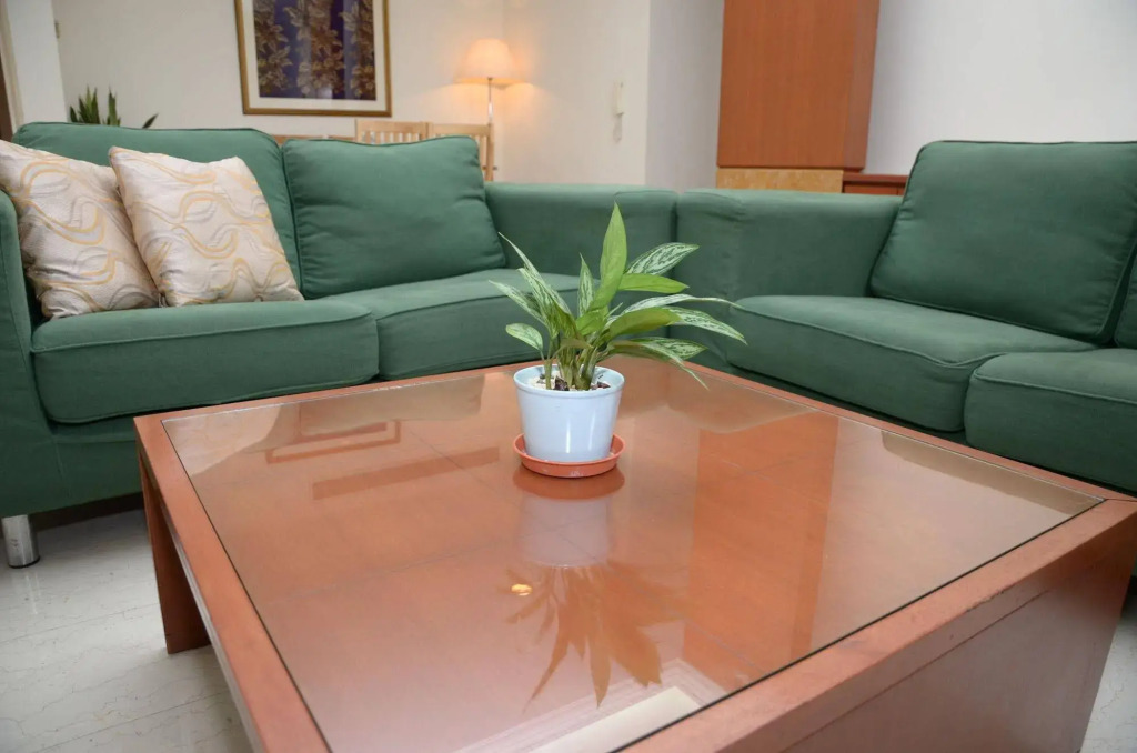 The Maple Suite