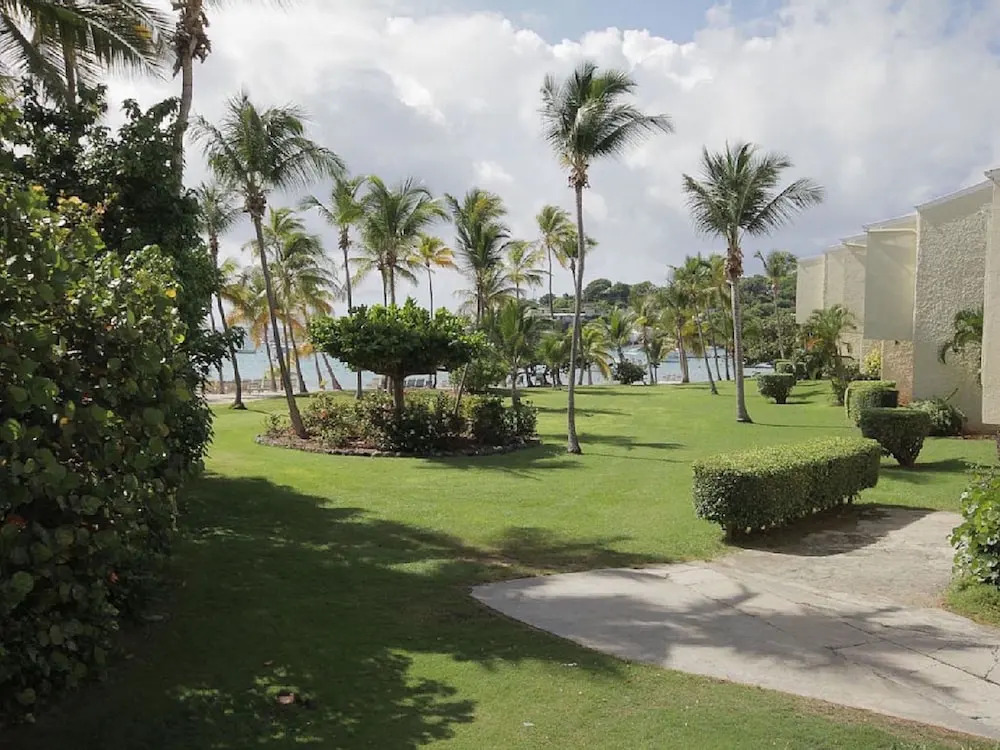 Bay View Condo