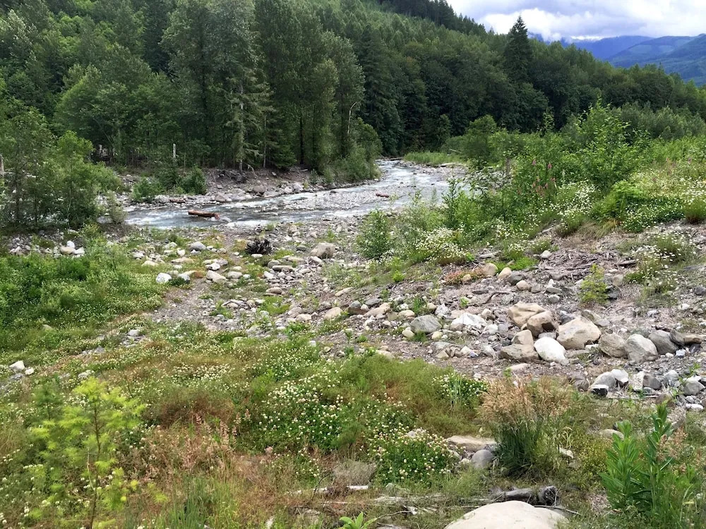 30GS - BBQ - Hot Tub - Wi-Fi - Pets Ok - Sleeps 8