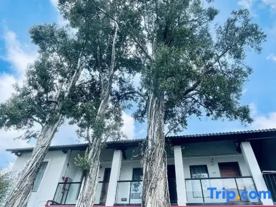 Guangzhou Wusu Homestay