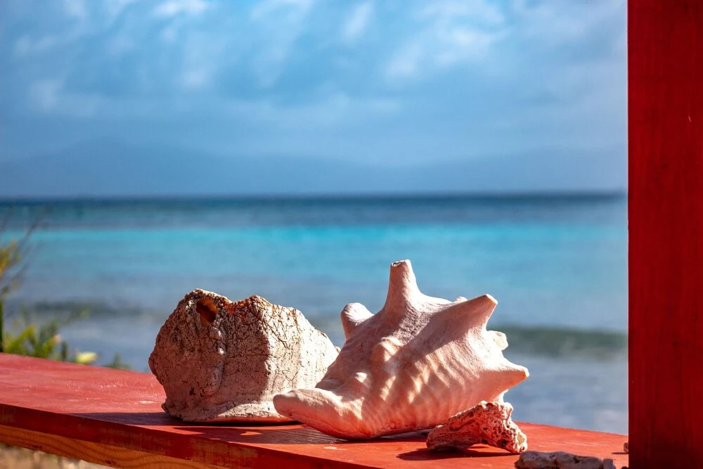 Explora San Blas