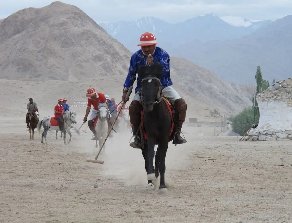 Chamba Camp Thiksey