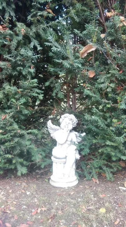 La Carline